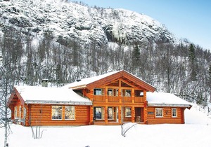 Stunning home in Hemsedal with sauna