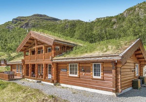 Stunning home in Hemsedal with sauna