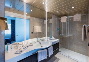 Suite, shower, toilet, river view
