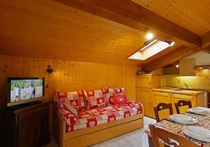 Sunny 2-star Apartment, 6 sleeps, near slopes, south balcony, ski shuttle