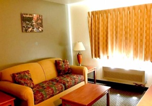Superb Location, Affordable Stay! Pets Allowed, Pool, Near Staff House Museum!