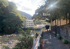 SyunkaSyuutou - Vacation STAY 53627v
