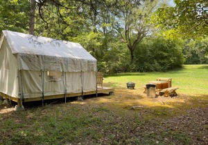 Tentrr State Park Site - Mississippi Wall Doxey State Park - Fresh Field D - Single Camp
