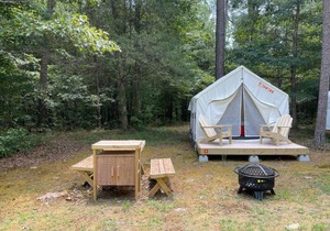 Tentrr State Park Site - Mississippi Wall Doxey State Park - Fresh Field D - Single Camp