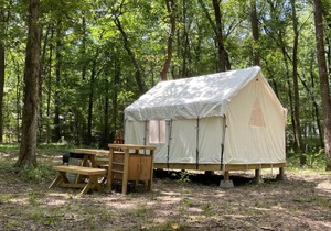 Tentrr State Park Site - Mississippi Wall Doxey State Park - Woodland F - Single Camp