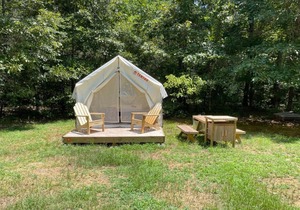 Tentrr State Park Site - Mississippi Wall Doxey State Park - Fresh Field H - Single Camp