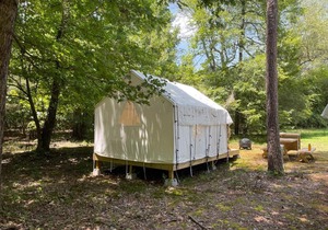 Tentrr State Park Site - Mississippi Wall Doxey State Park - Fresh Field I - Single Camp