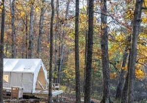 Tentrr State Park Site - Mississippi Tishomingo State Park - Haynes Lake South C