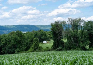 Tentrr State Park Site - Taconic State Park High Valley Rd Site A