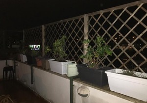 Terrazza Fleming tiny flat Rome