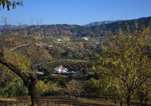The African House
