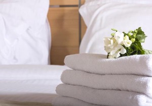 The Cedar Suite