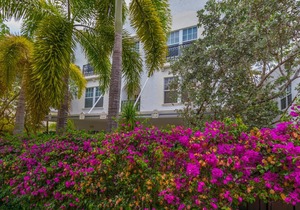 The Fountain 208 - One Bedroom Condominium