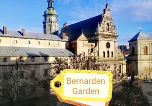 The heart of Lviv