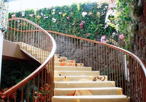 The Kahala Hotel and Resort