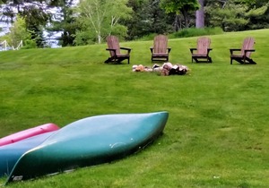The Ledges Resort & Marina