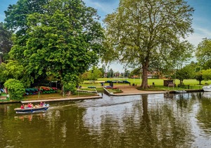 The Lensbury Resort