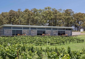 The Longhouse - Suite 1 - Iconic Hunter Valley property, 2 en-suite bedrooms and vineyard views