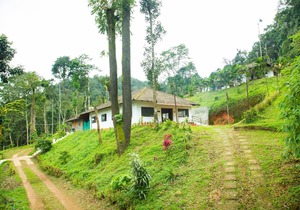 The Nest Bettathur, Coorg Ct 004