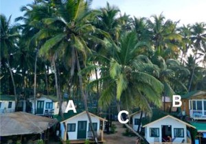 The Nest Palolem
