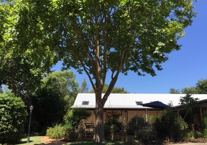 The Noble Grape Guesthouse