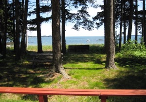 The Sandpiper: A Cozy Beachfront Cottage with Spectacular Ocean Views
