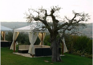 THE ULIVI RESIDENCE, SUPERIOR ROOM