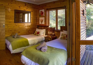 Thunzi Bush Lodge