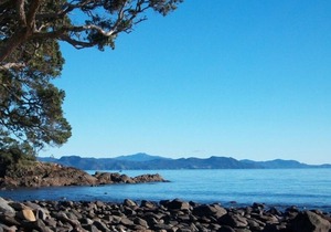 Thyme Out by The Sea. Unique and affordable.