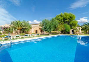 TORRE MARINA (ALGA MARINA)