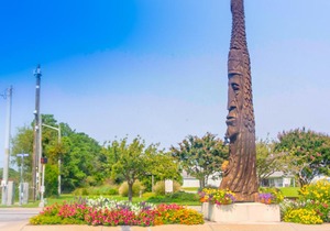 Tower Shores -- 39540 Cove