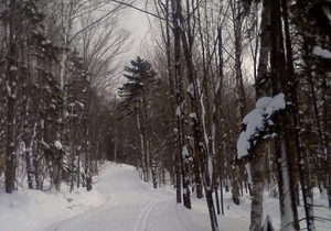 Trapp Family Lodge Guest House - New Years' week! Available Dec 30-Jan 6