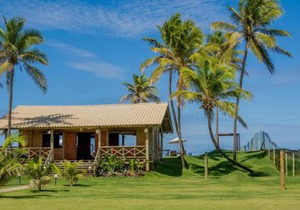Tree Bies Resort - Oficial