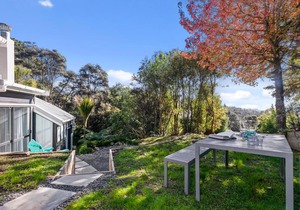 Tree Top Hideaway - Sandspit Holiday Home