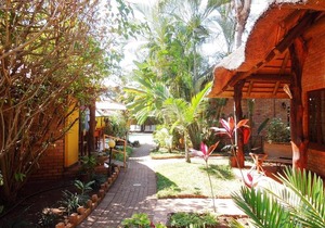 Trees Too Guest Lodge