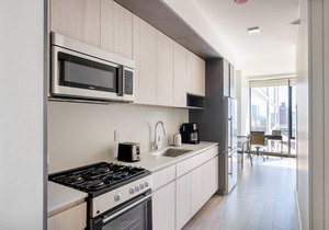 Trendy South Loop 1BR w/Pool, Gym & Spa, nr Grant Park, by Blueground