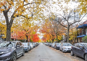 try to erase but unsuccessful. in Rosemont—La Petite-Patrie