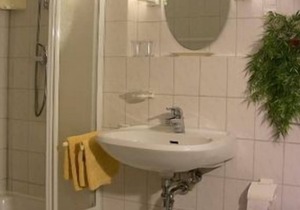 Twin room in a villa in Loschwitz