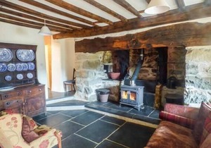 Tyn Llwyn, LLANELLTYD