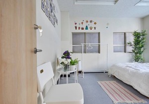 Ueno 5min/Akihabara/2LDK/Wifi#B