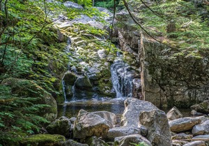Unique Off-grid stay in the heart of the White Mountain National Forest