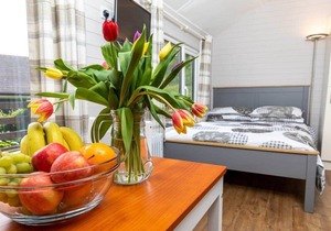Unique, peaceful, cosy and quaint cedar wood built holiday lodge.