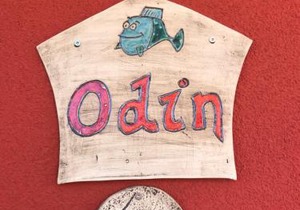 Urlaub am Plätlinsee - Haus Odin