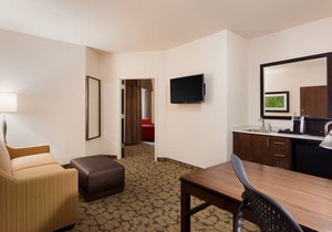 Hilton Garden Inn Rochester Downtown 1 King Accessible Suite With Bathtub