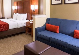 Comfort Suites Newark - Harrison