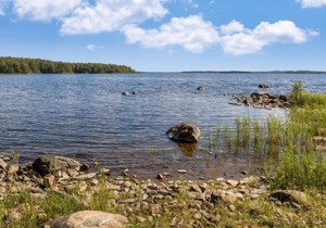 Vacation home Amero purnu 1 in Lieksa - 8 persons, 2 bedrooms