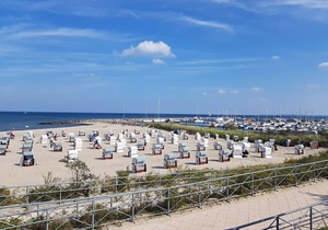 Vacation - rest - nature - Baltic Sea - horse farm - family business! Apartment. No. 11