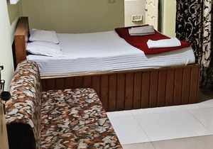 Veg park view hotel matheran