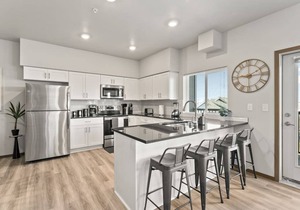 Very New 2 Bed 2 Bath Near DT and Perry District!