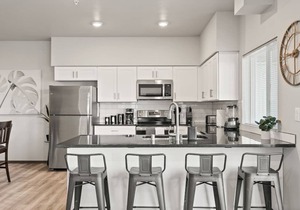 Very New 2 Bed 2 Bath Near DT and Perry District!